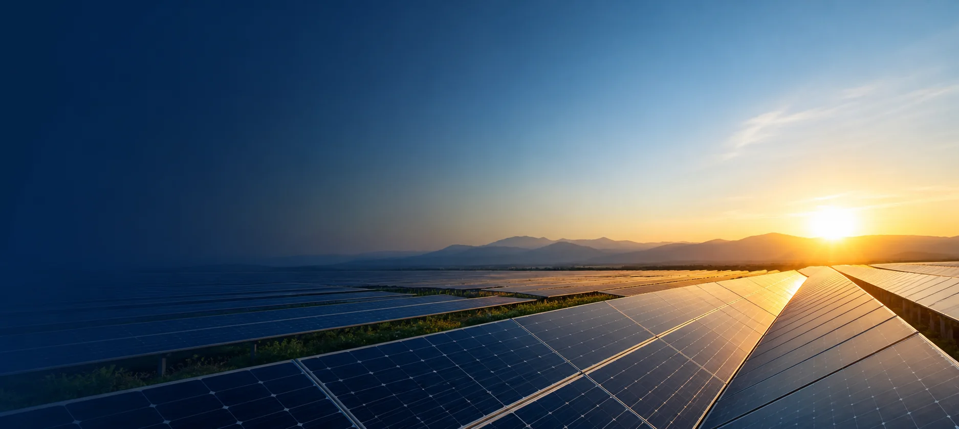 Expansive solar farm at sunrise
